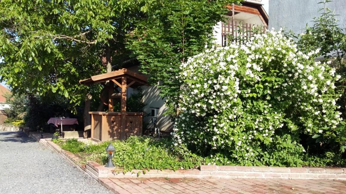 Cziroka Vendeghaz Apartment Tolcsva Exterior photo
